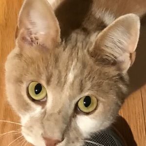 Meet your Posher, Scott